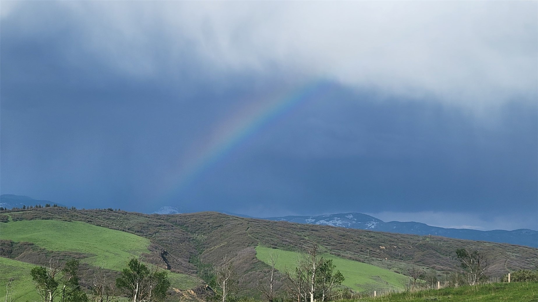 37450 Saddle Mountain DRIVE