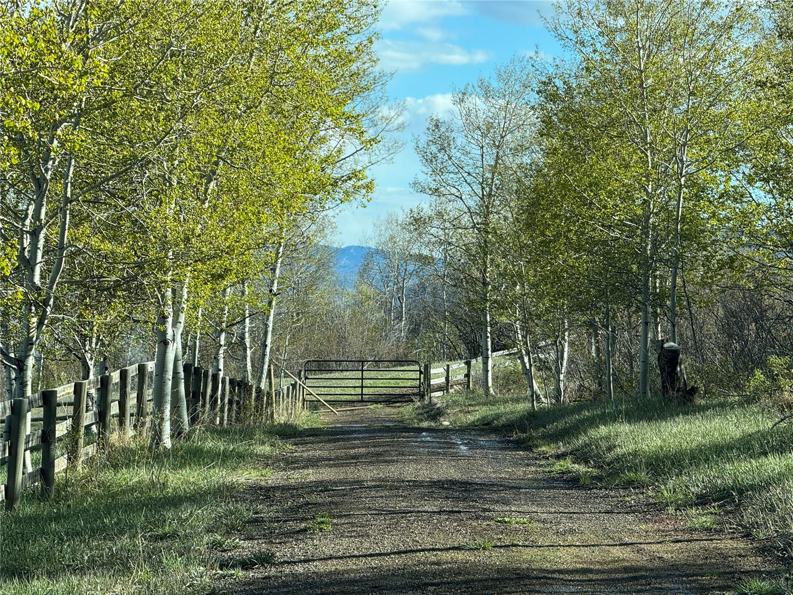 31775 Bradley Ranch