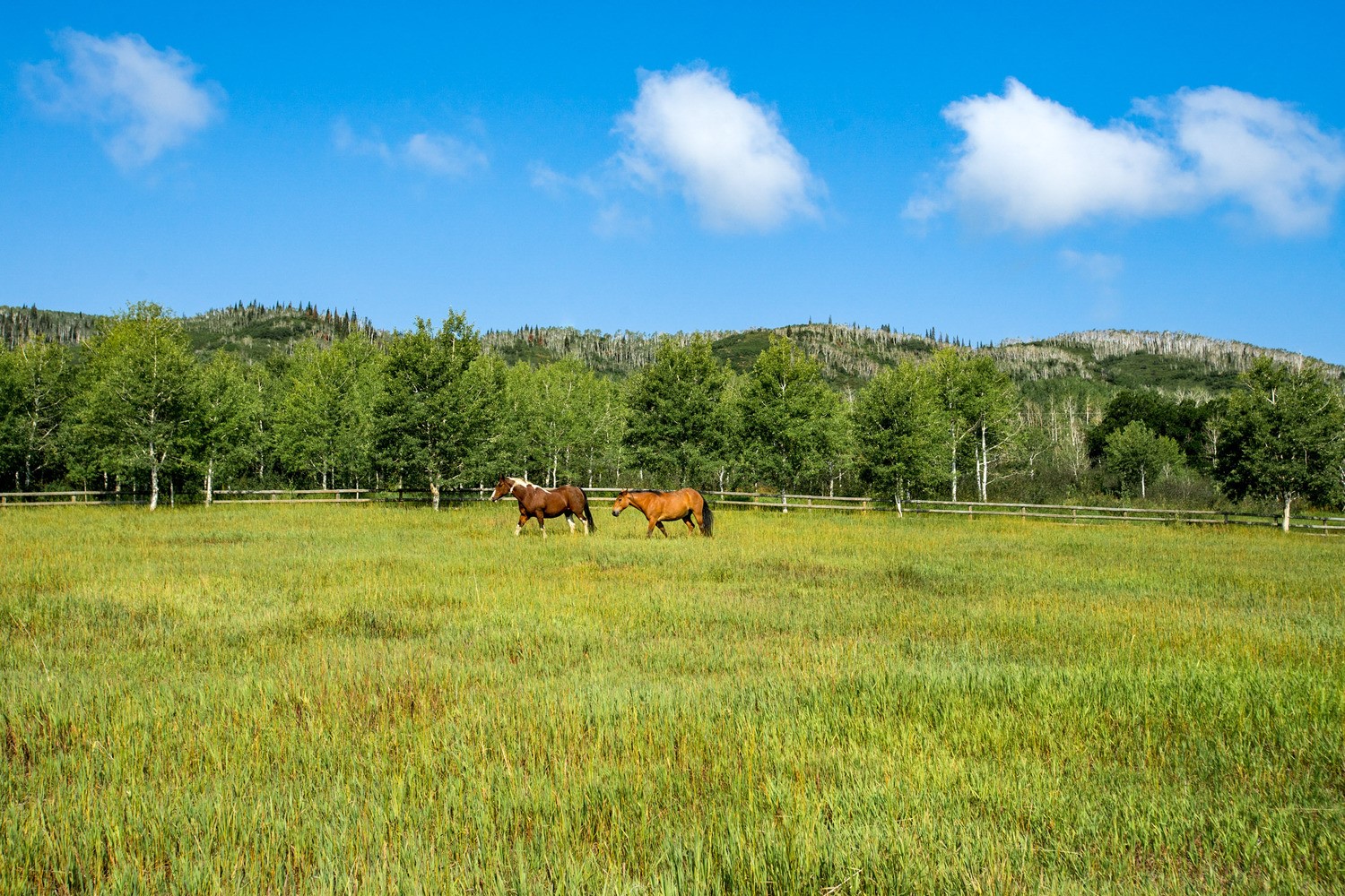 31775 Bradley Ranch