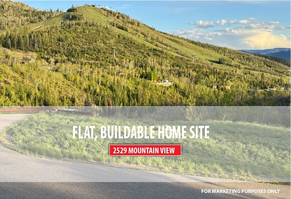 2529 Mountain View LANE