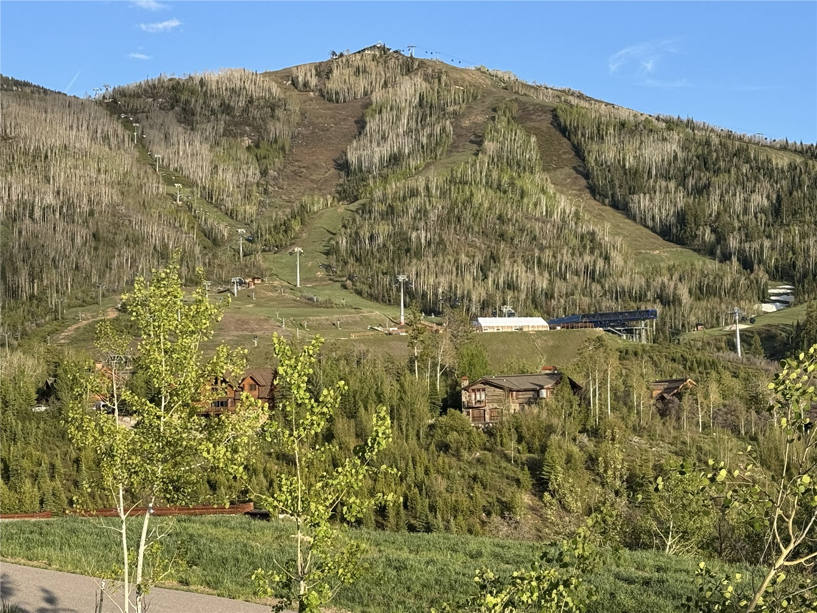 2529 Mountain View LANE