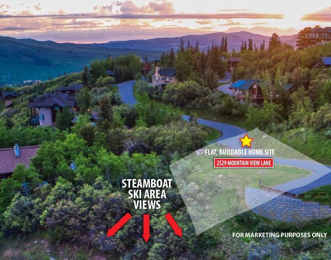 2529 Mountain View LANE