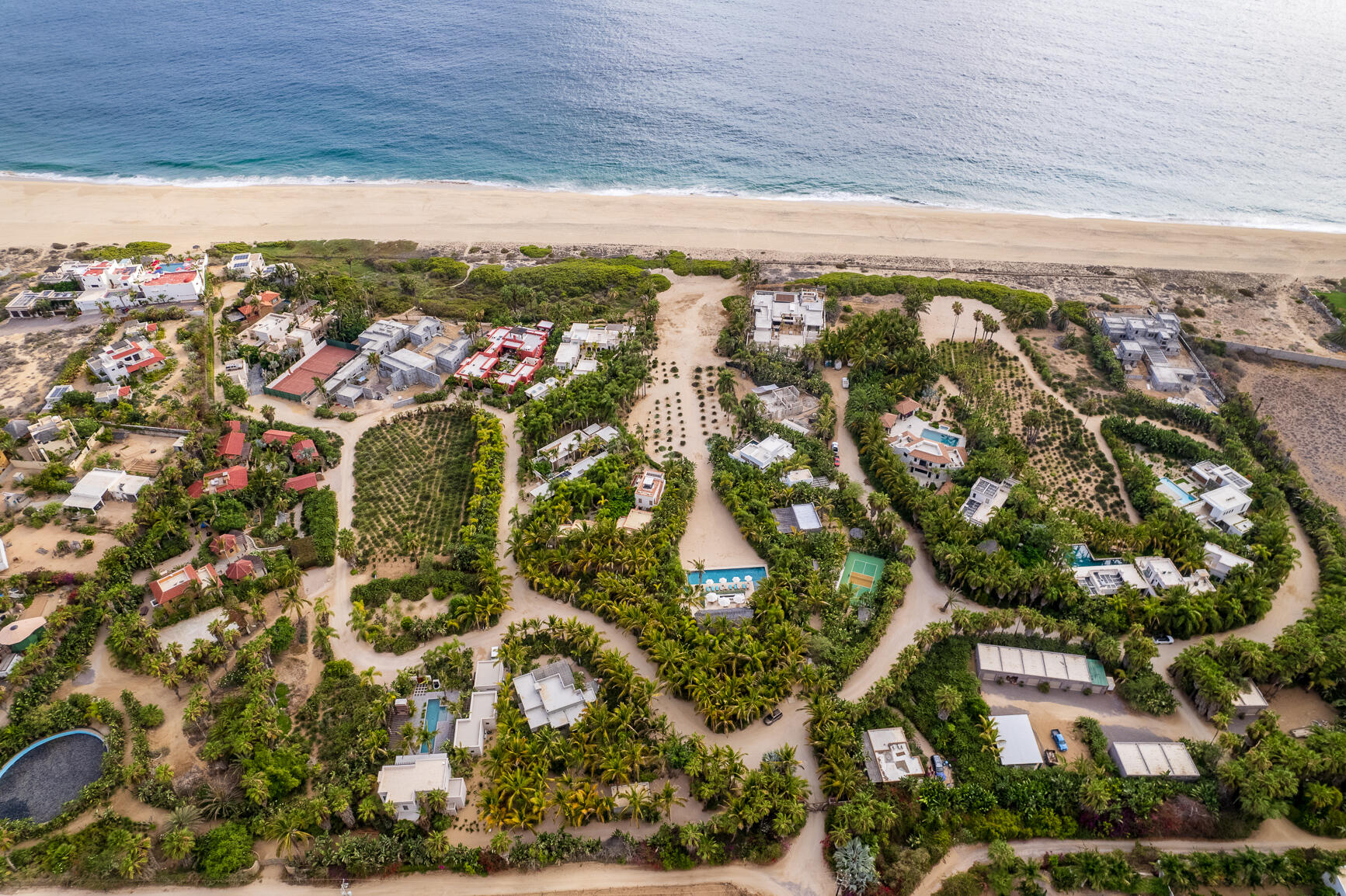 Palm Orchard Reserve