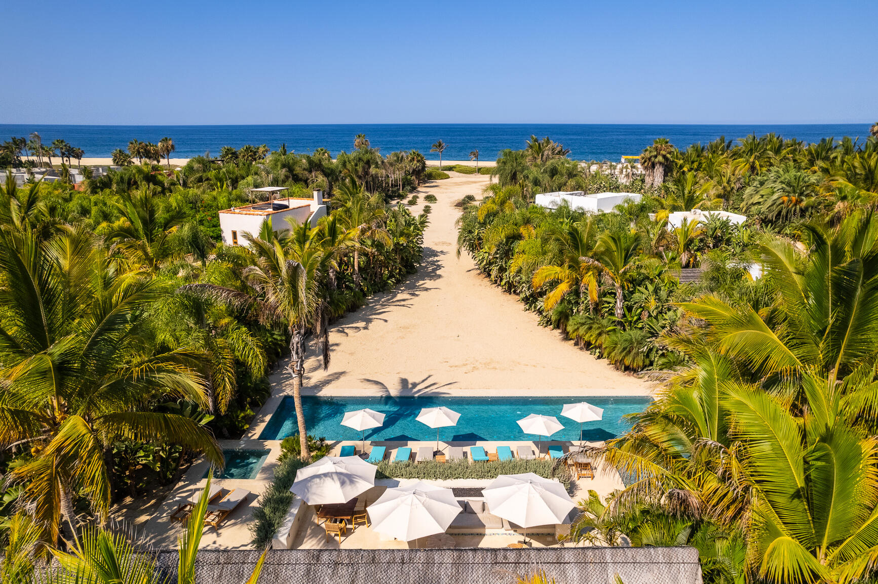 Palm Orchard Reserve