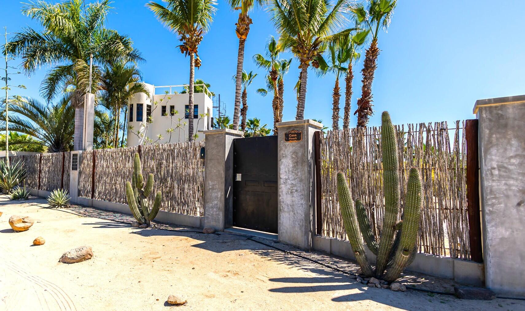 Camino Internacional, Casa Leo