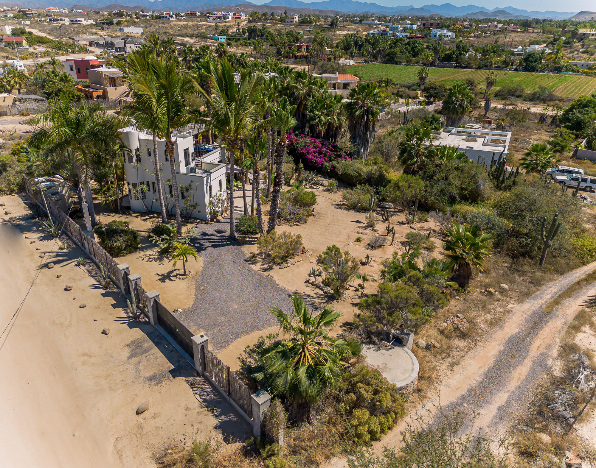 Camino Internacional, Casa Leo