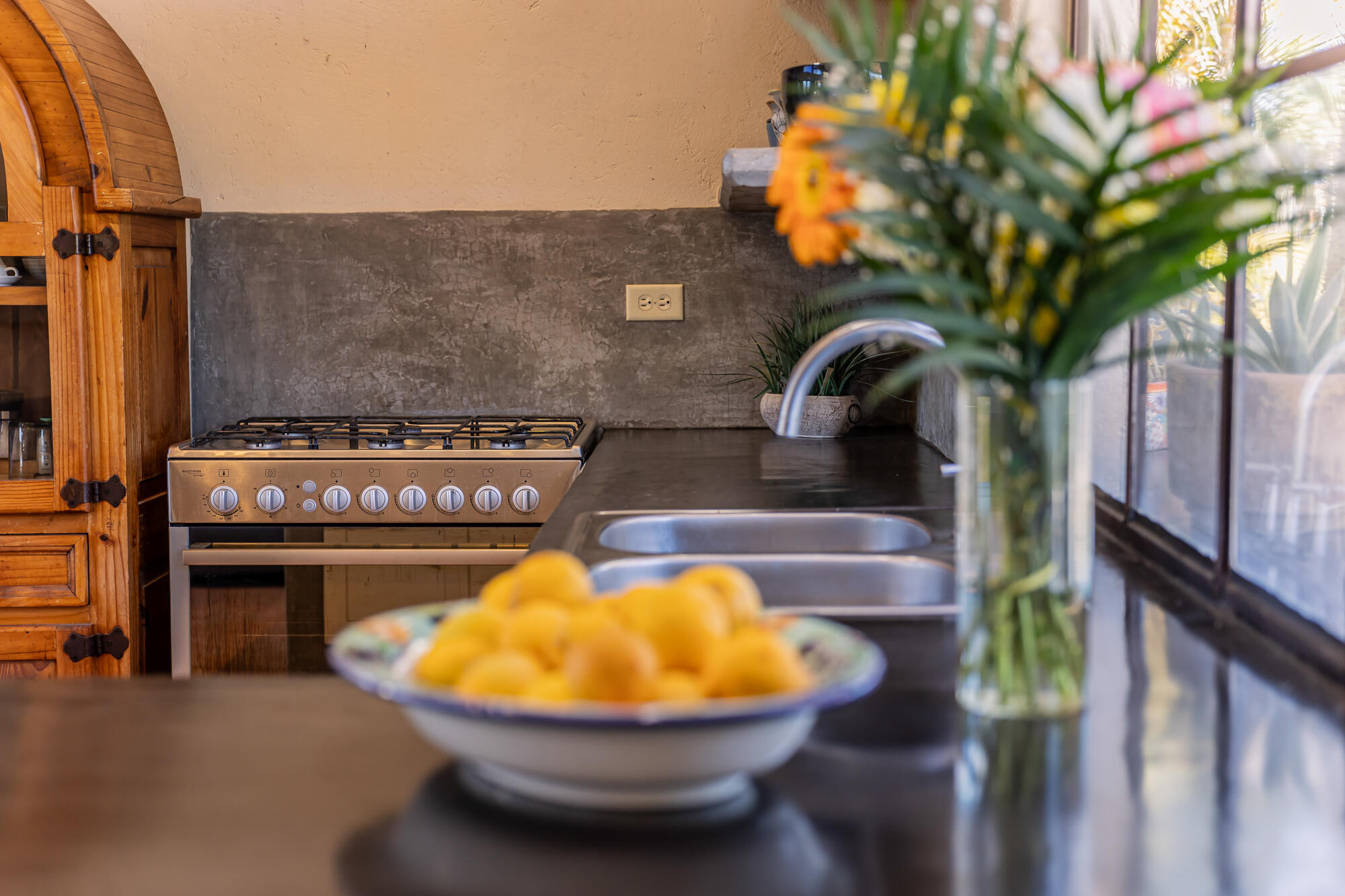 Camino Internacional, Casa Leo