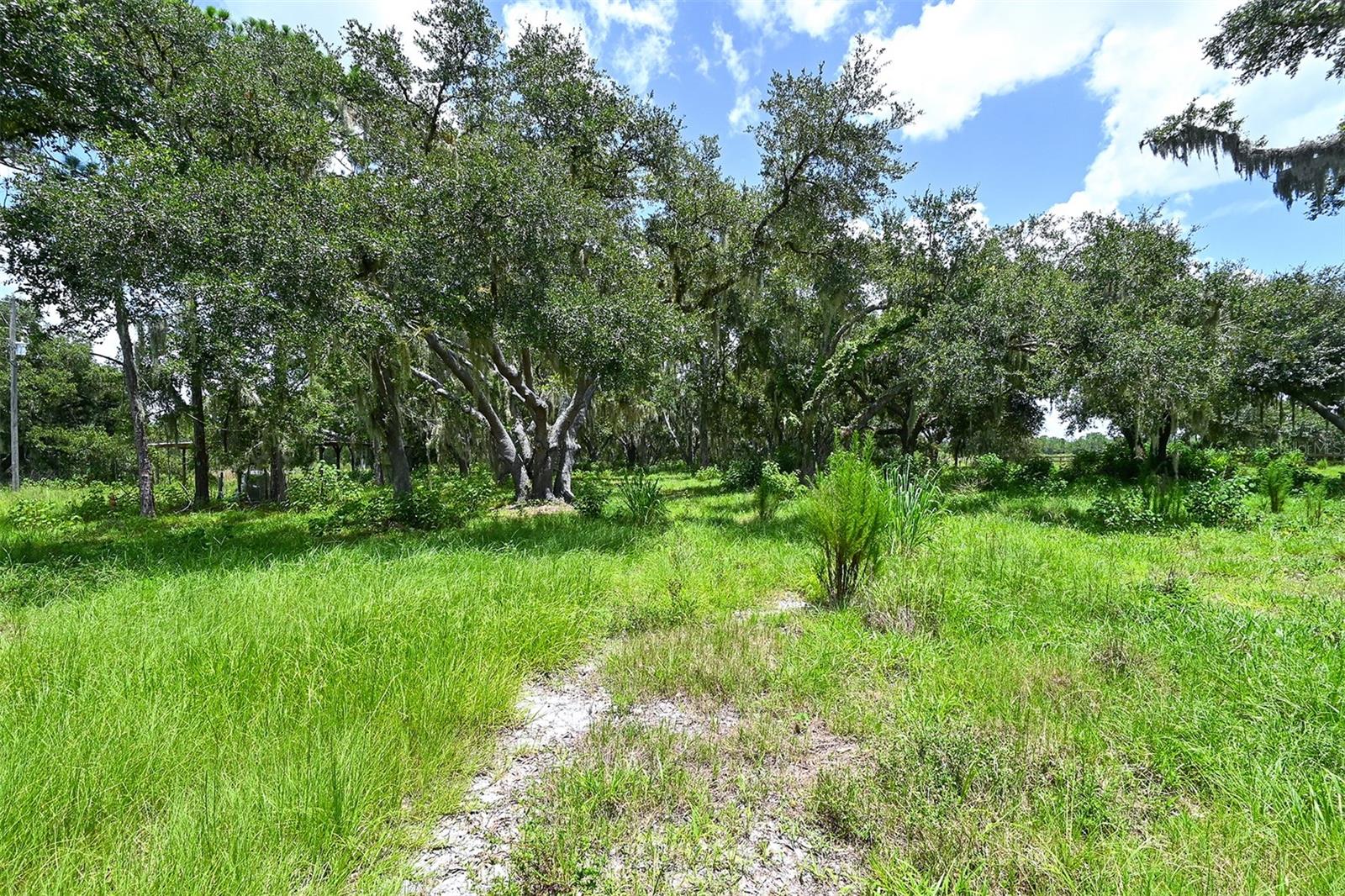 15655 SUGAR BOWL RD