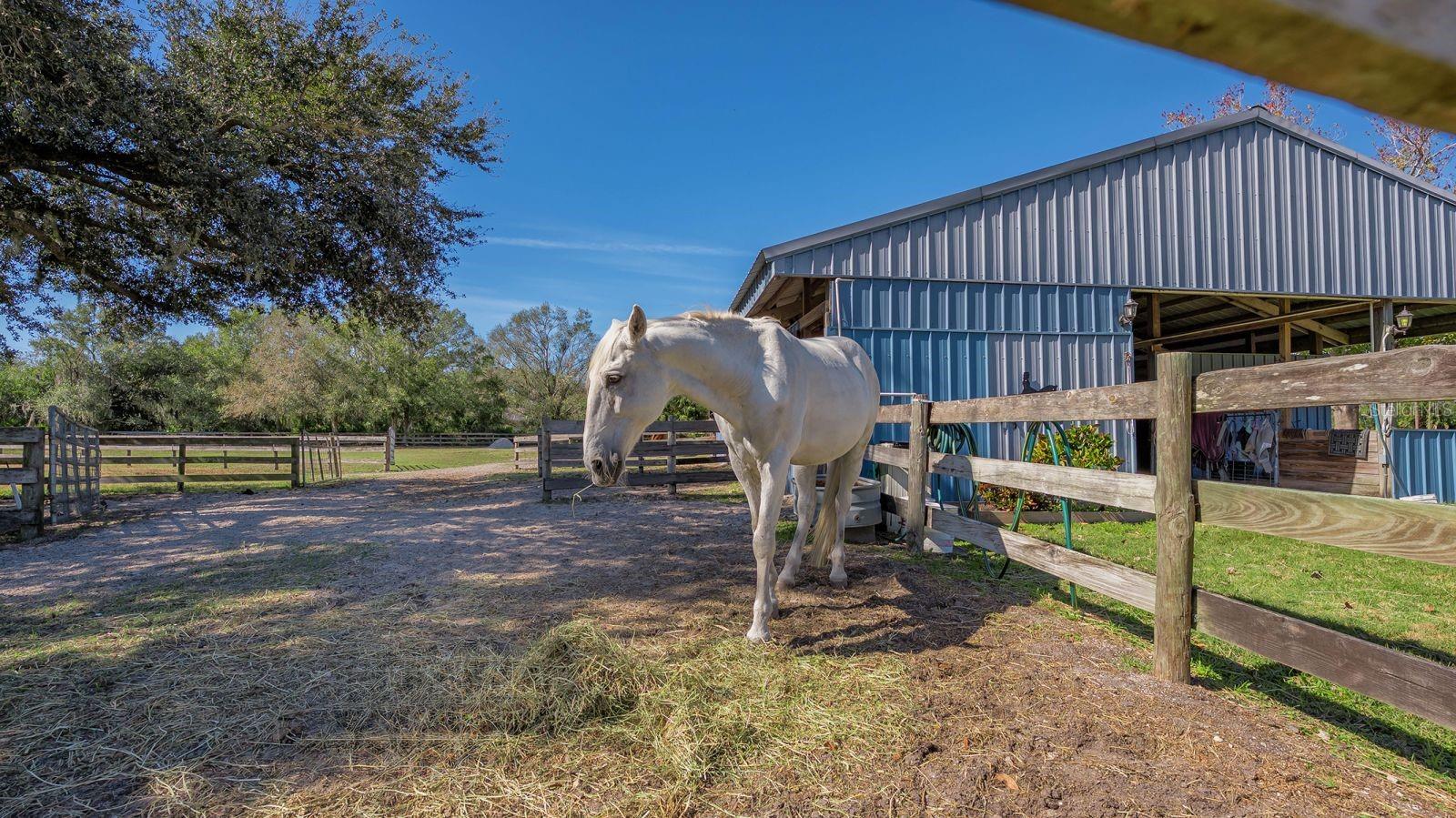 7610 SADDLE CREEK TRL