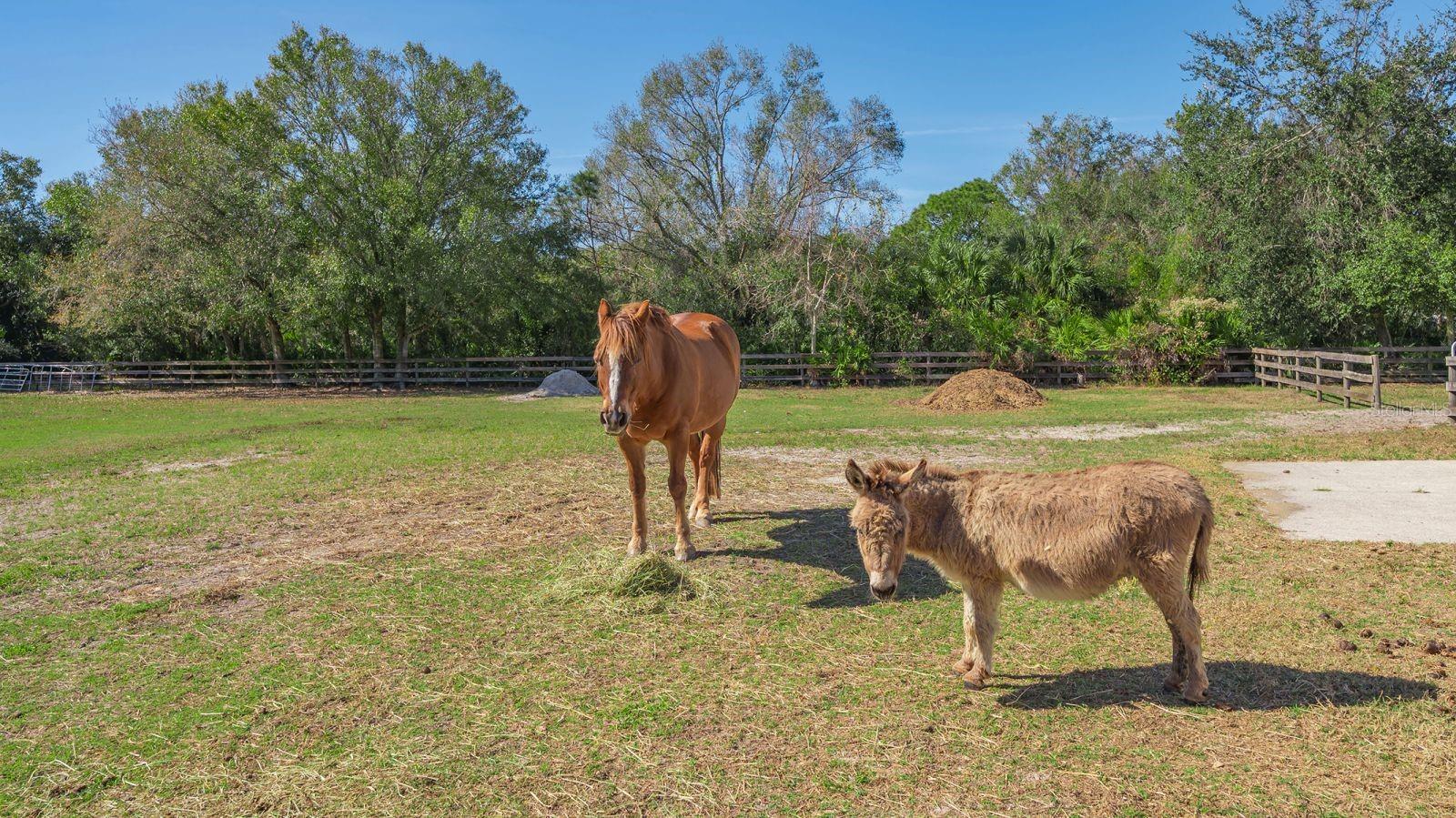 7610 SADDLE CREEK TRL