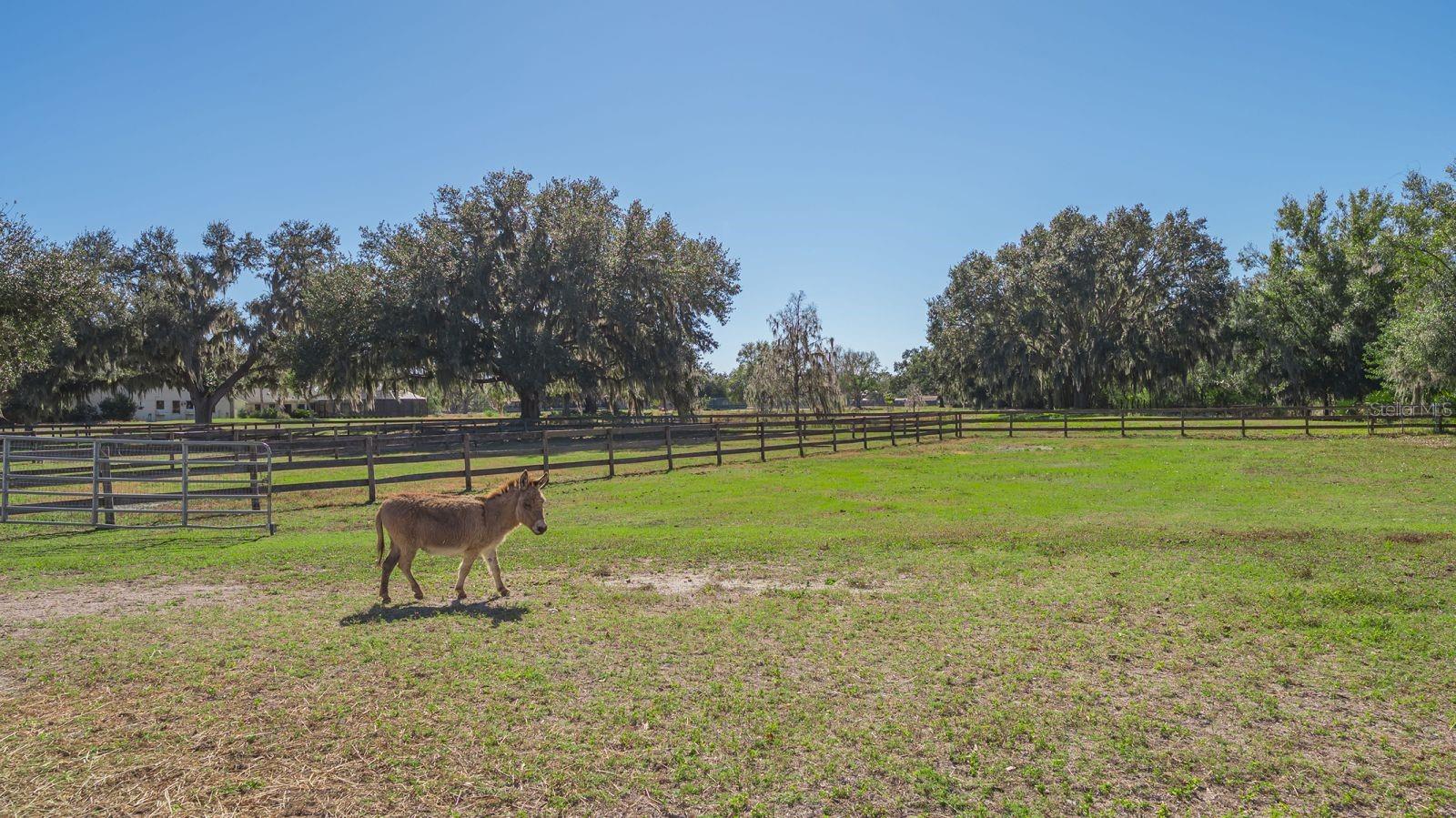 7610 SADDLE CREEK TRL