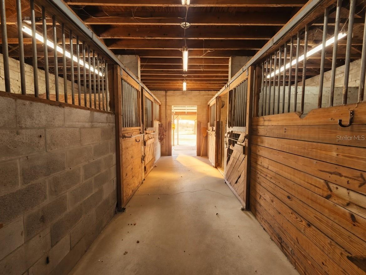 7783 SADDLE CREEK TRL