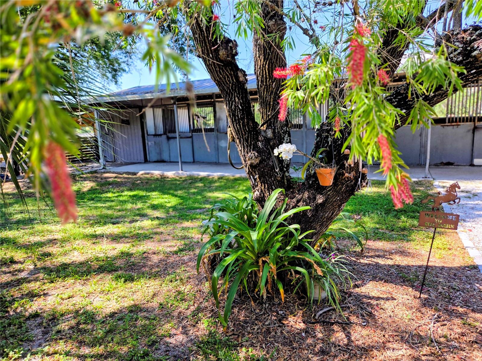 7783 SADDLE CREEK TRL