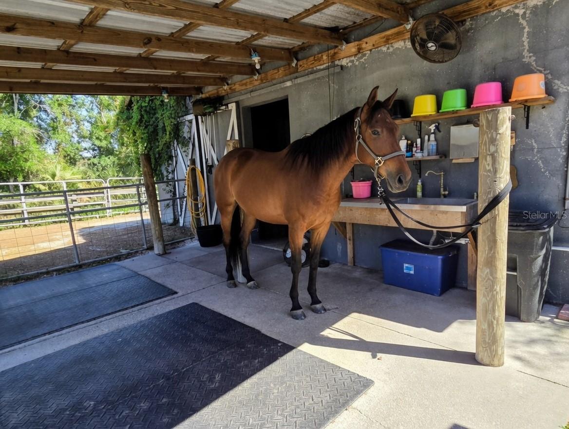 7783 SADDLE CREEK TRL