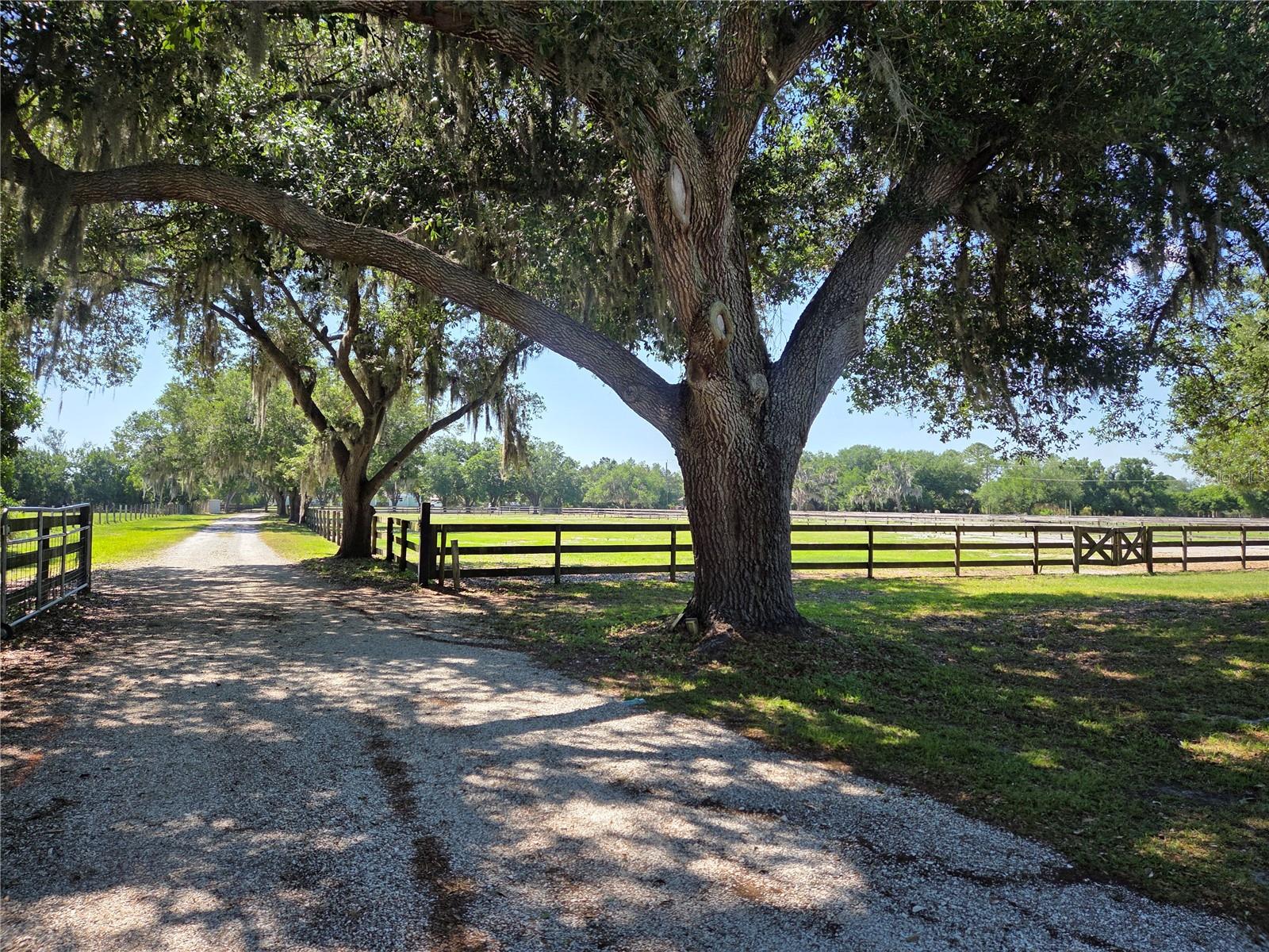 7783 SADDLE CREEK TRL