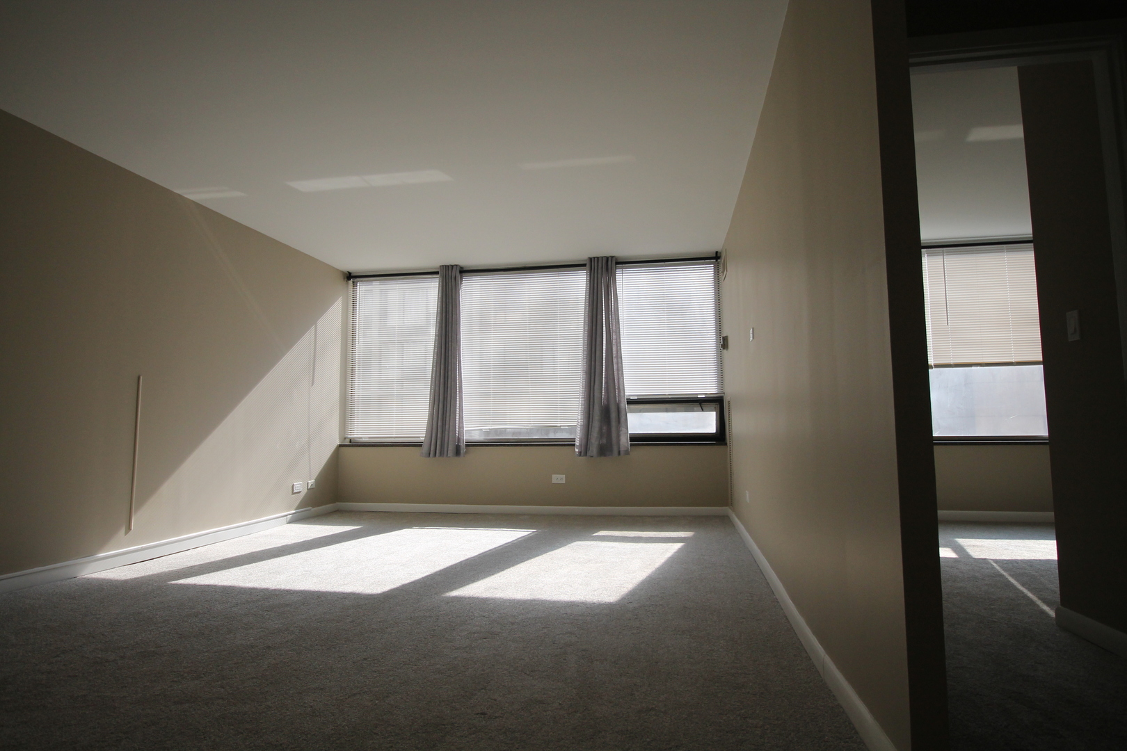 233 E Erie Street Unit: 2009