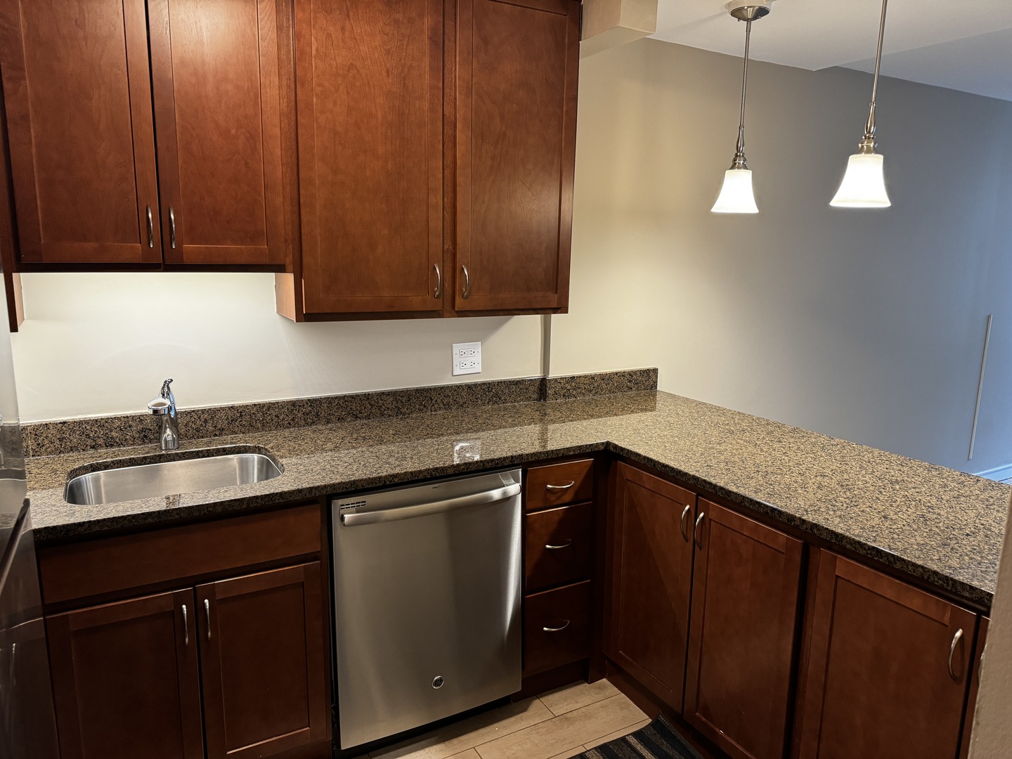 233 E Erie Street Unit: 2009