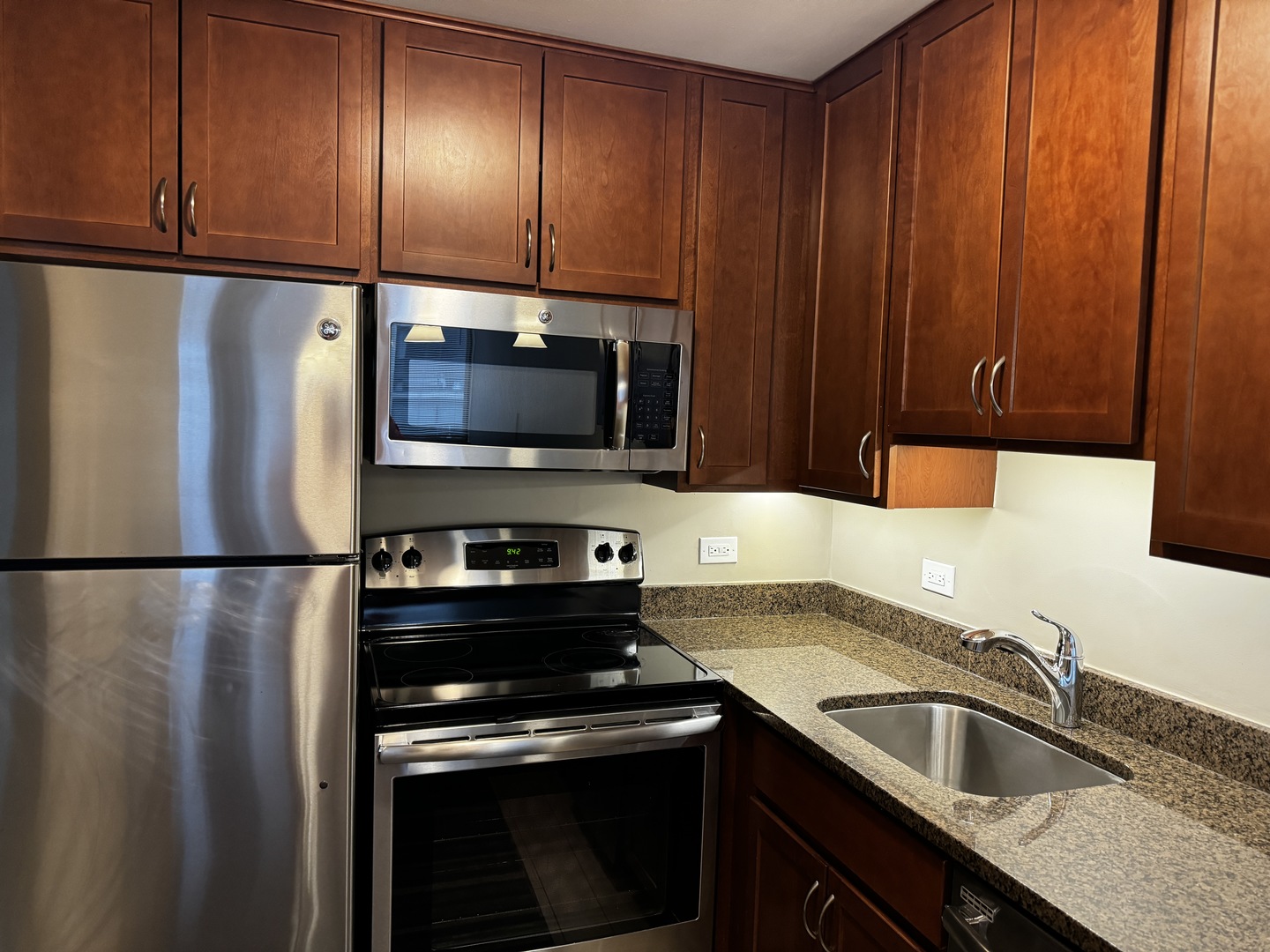 233 E Erie Street Unit: 2009
