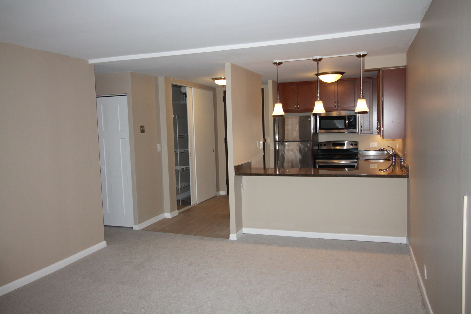 233 E Erie Street Unit: 2009