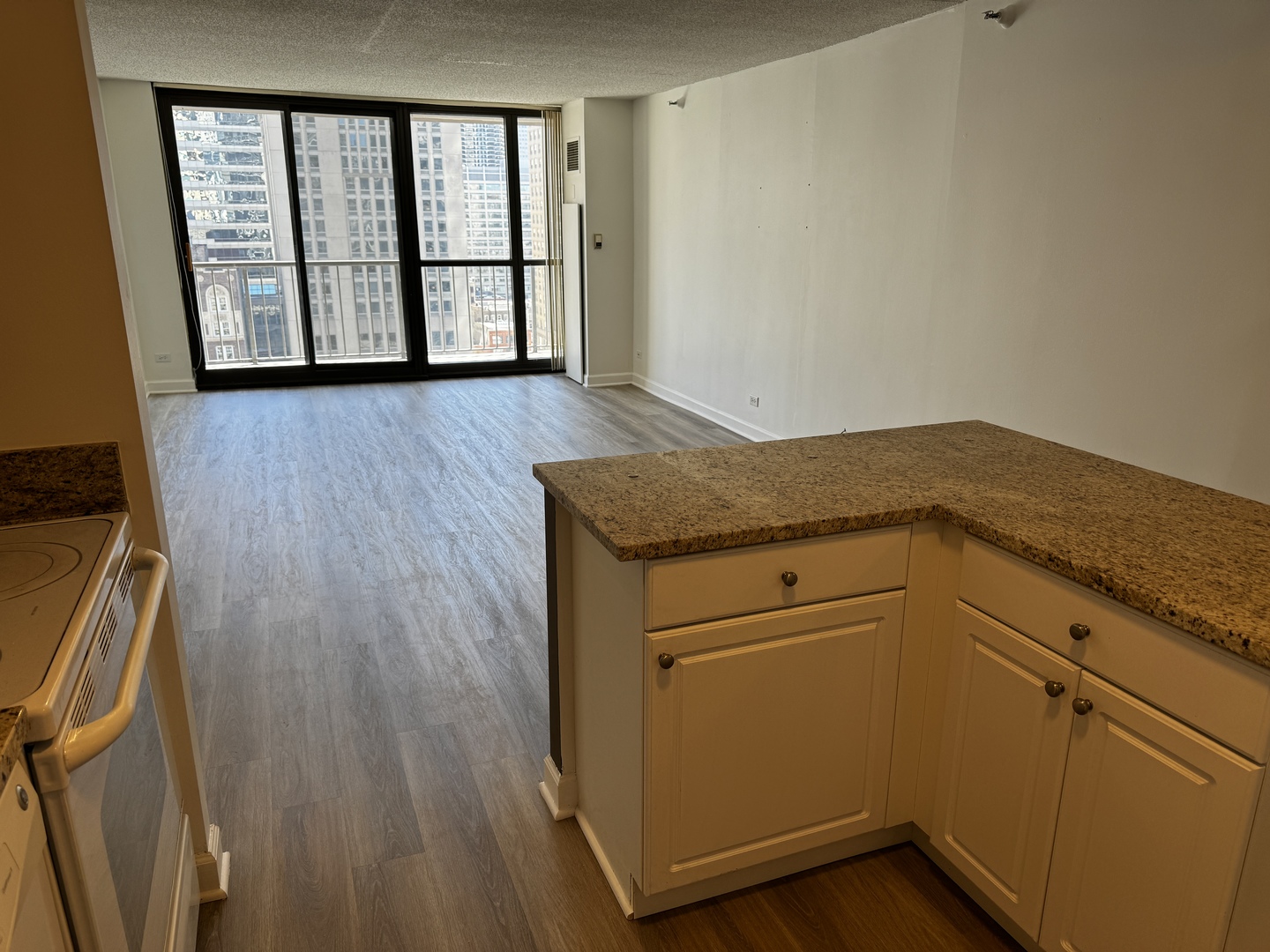 10 E ONTARIO Street Unit: 1903
