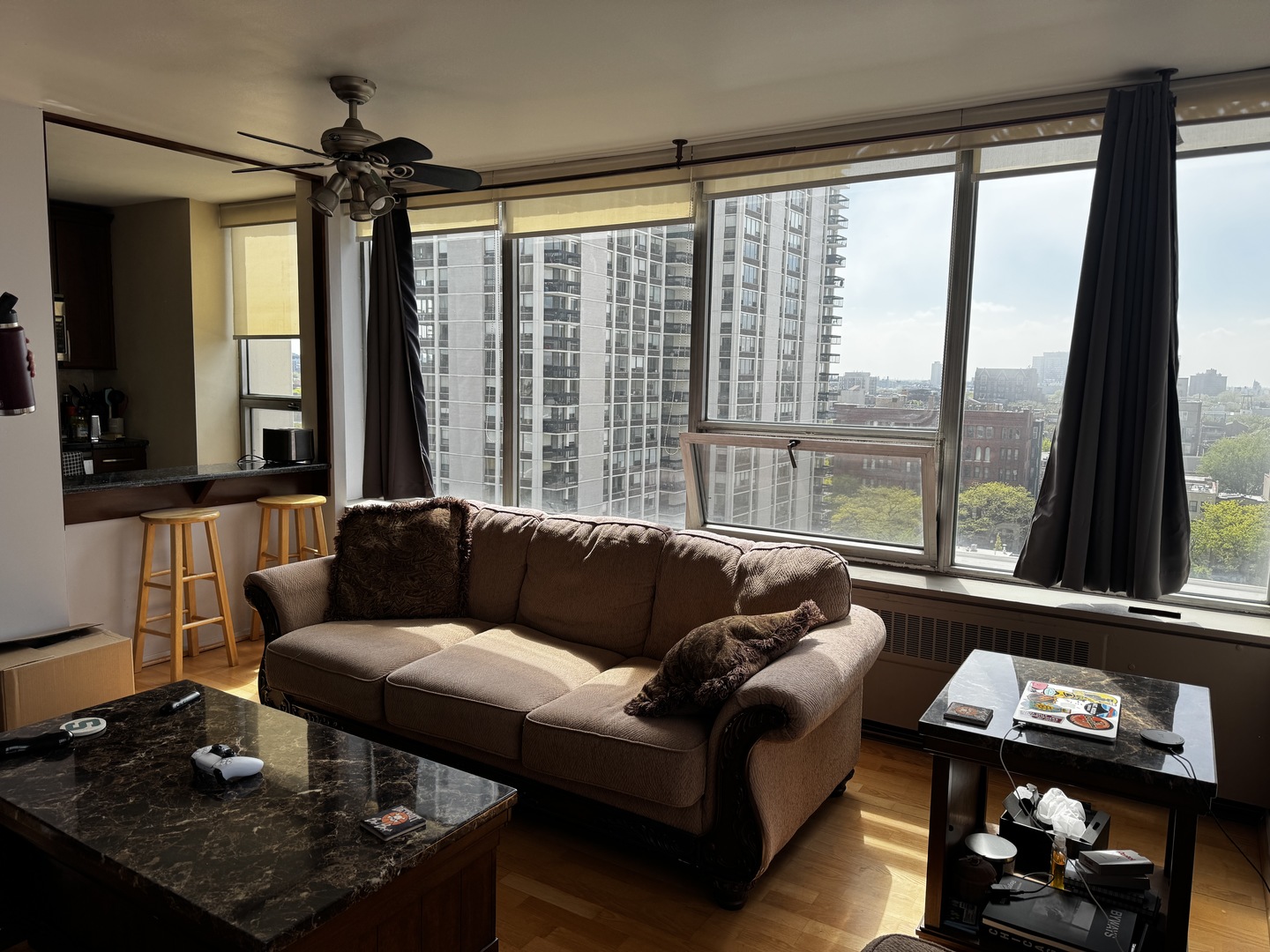 70 W Burton Place Unit: 1101