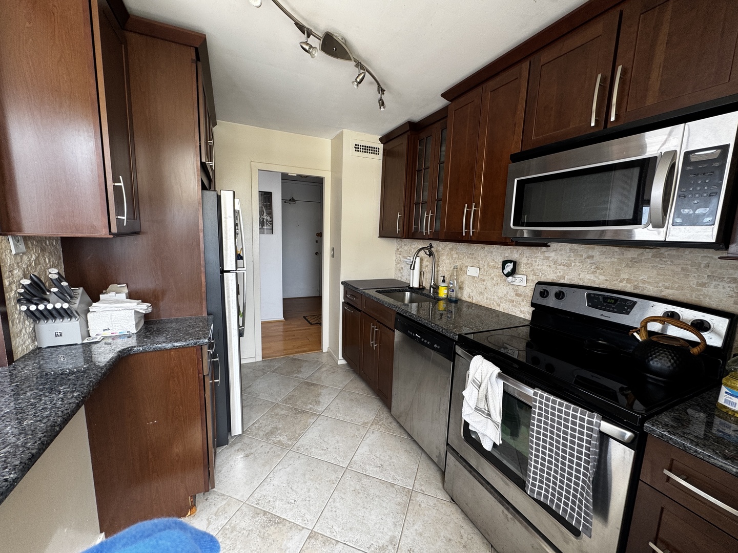 70 W Burton Place Unit: 1101