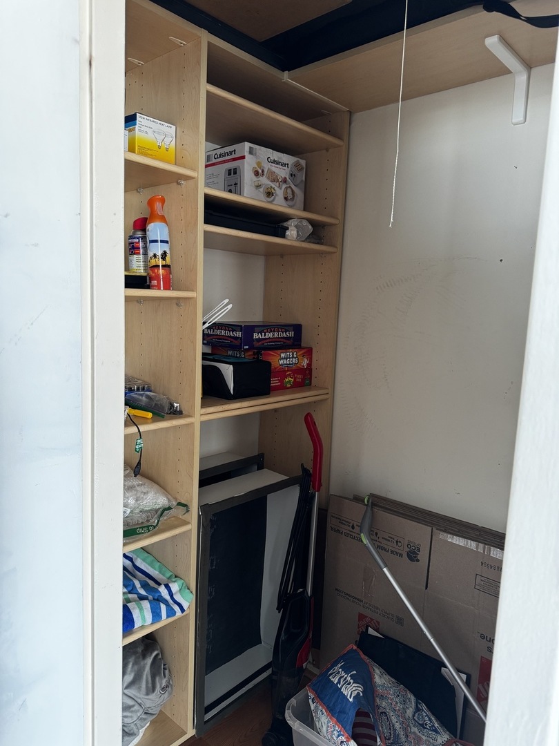 70 W Burton Place Unit: 1101