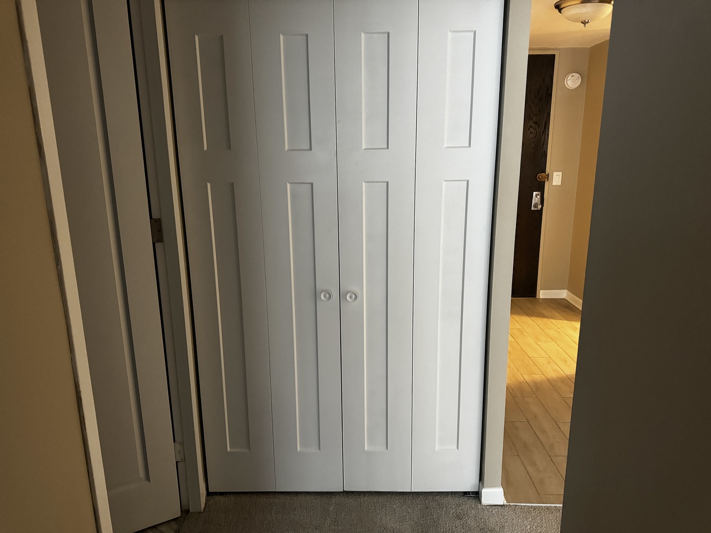 233 E Erie Street Unit: 2009