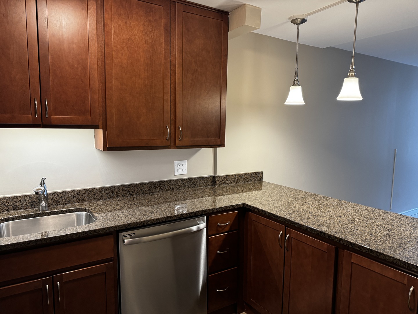 233 E Erie Street Unit: 2009