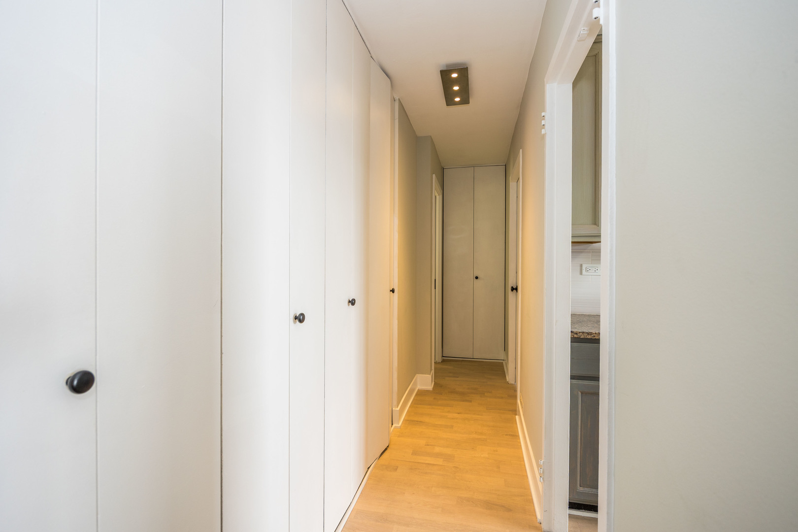 1355 N Sandburg Terrace Unit: 2206D