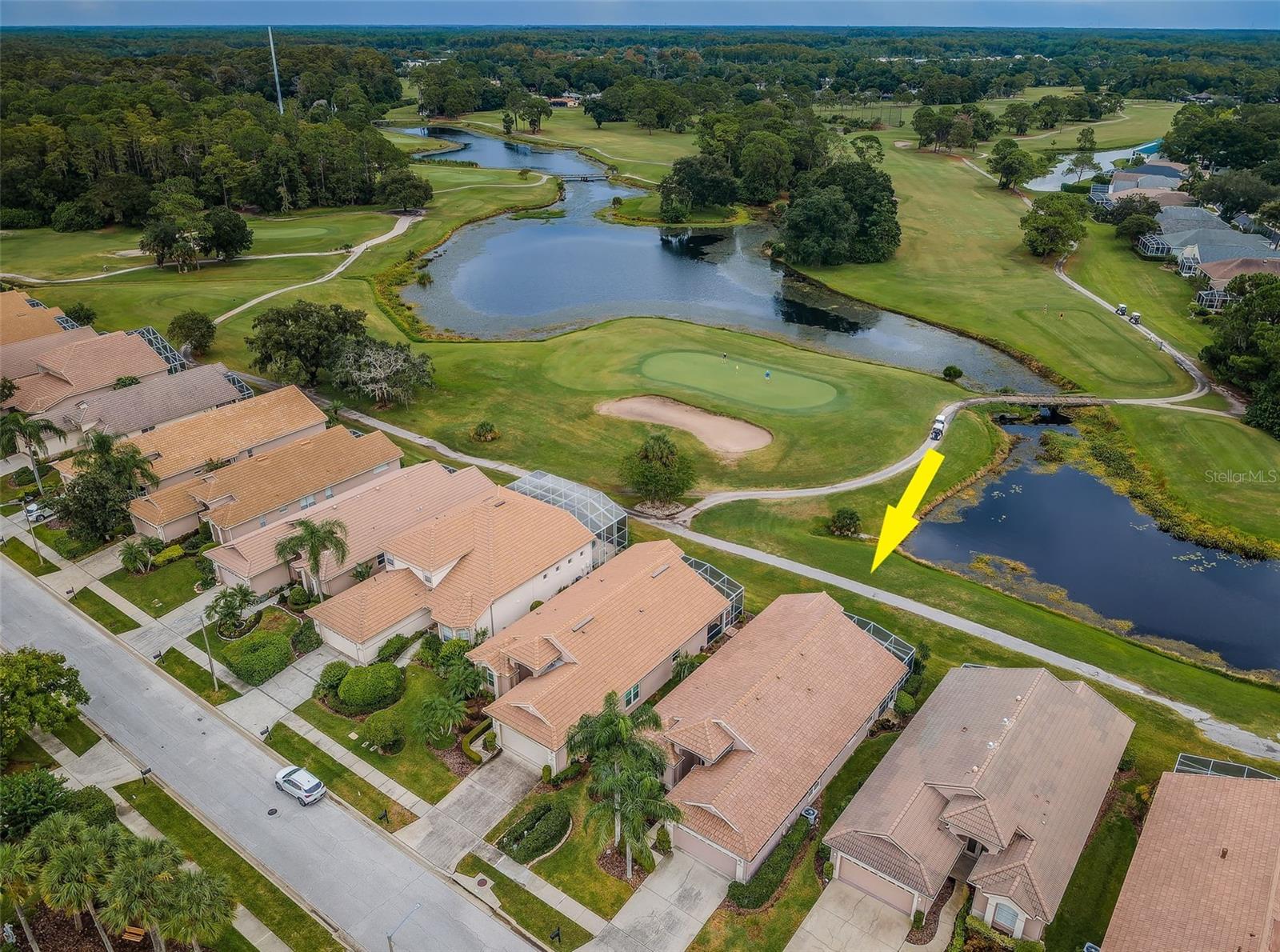 4350 LIVE OAK BLVD