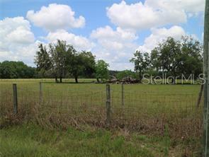 11819 TARPON SPRINGS RD