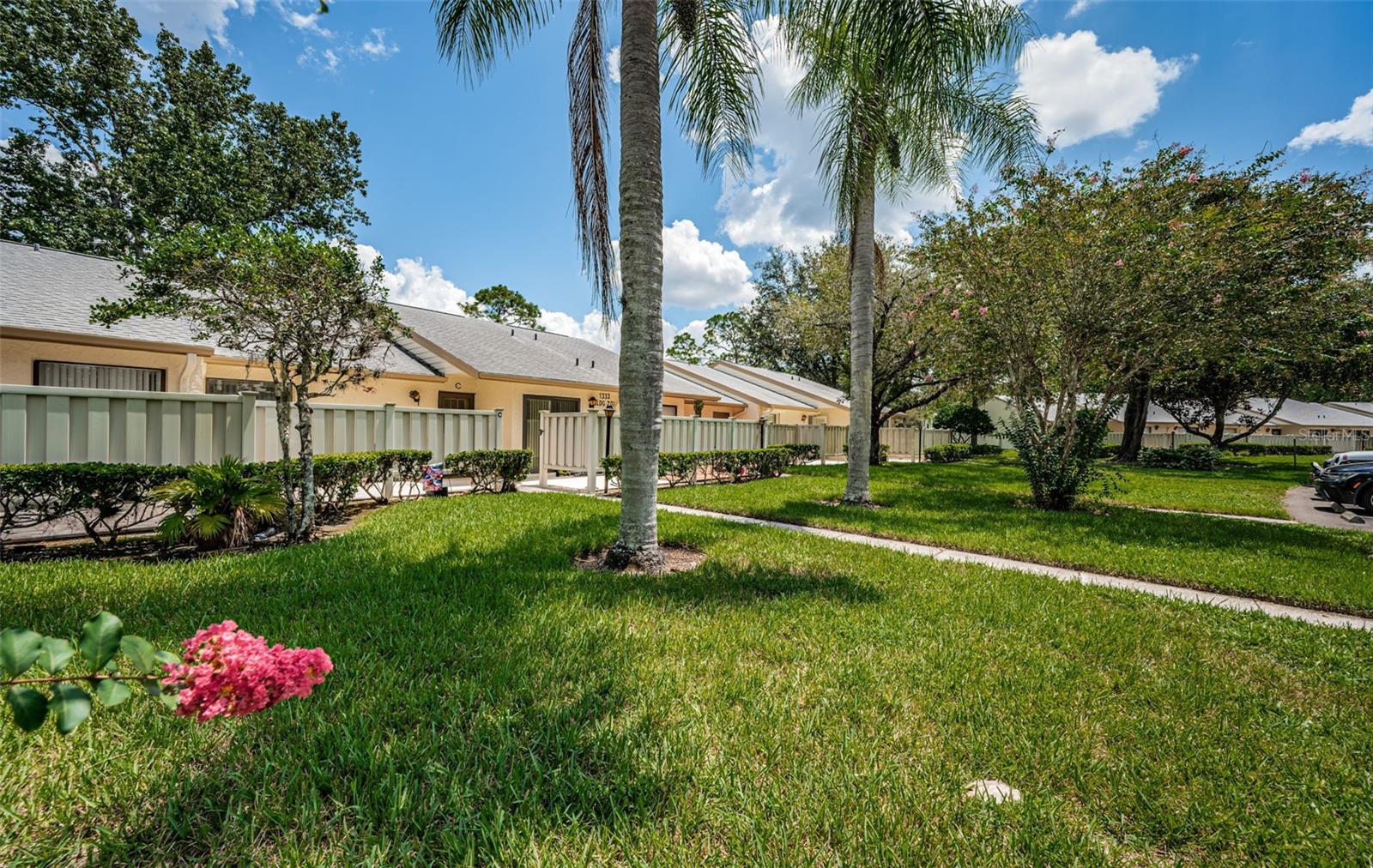 1333 SHADY PINE WAY #C