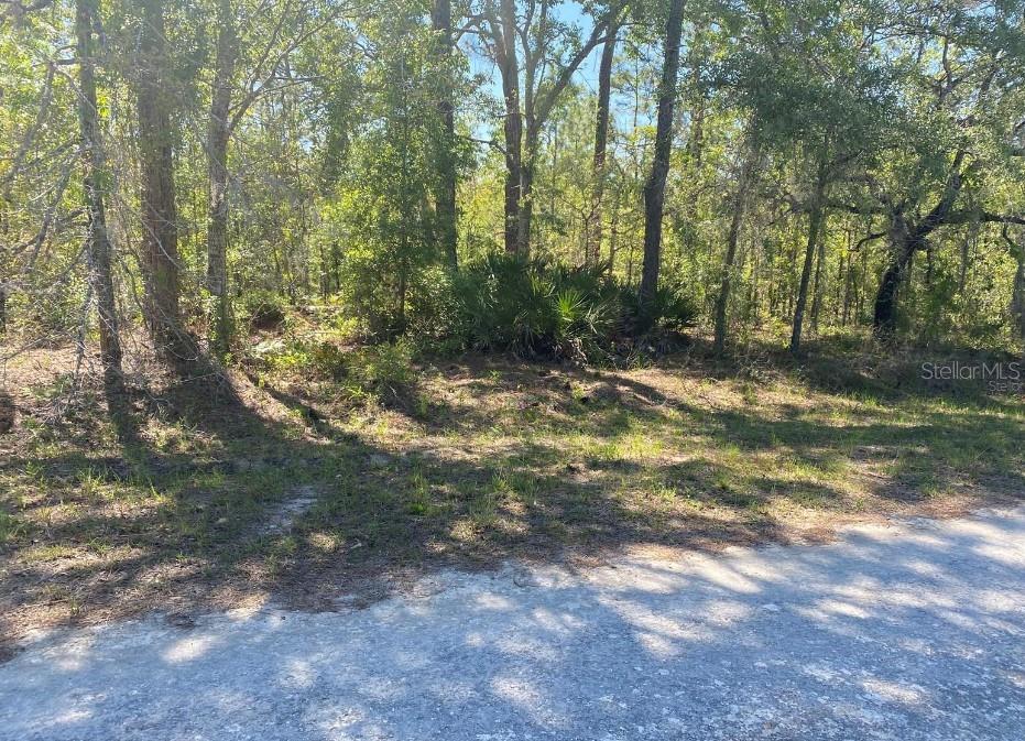 14227 EARLINE RD