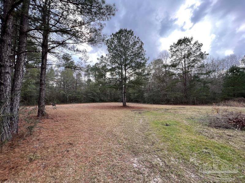 2620 Mccranie Rd