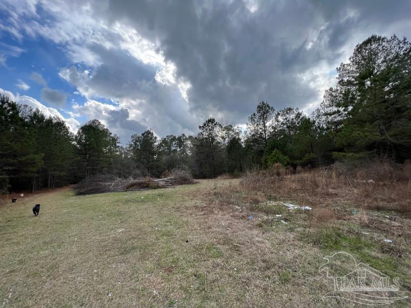 2620 Mccranie Rd