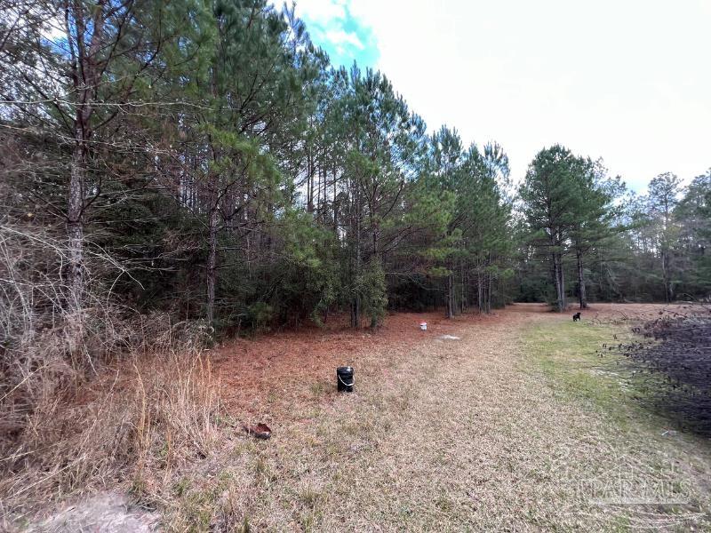 2620 Mccranie Rd