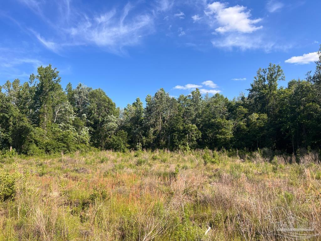 Lot 3-B Cotton Lake Rd