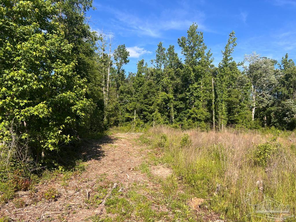 Lot 3-B Cotton Lake Rd