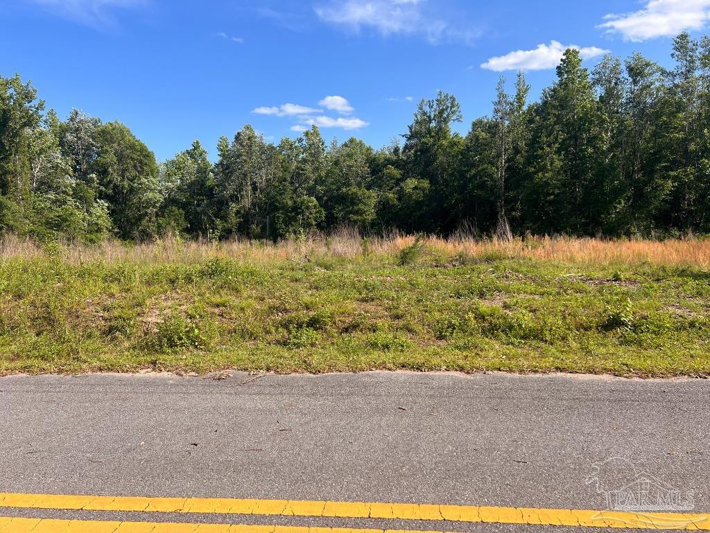 Lot 3-B Cotton Lake Rd