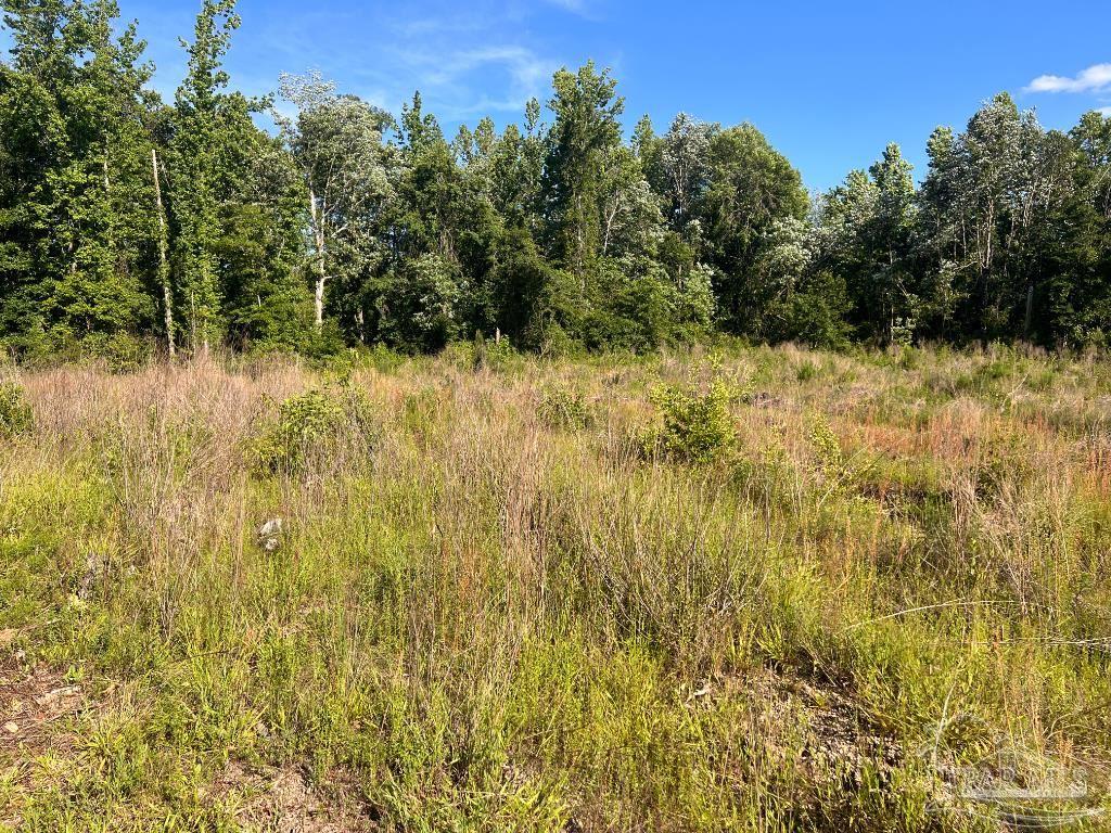 Lot 3-B Cotton Lake Rd
