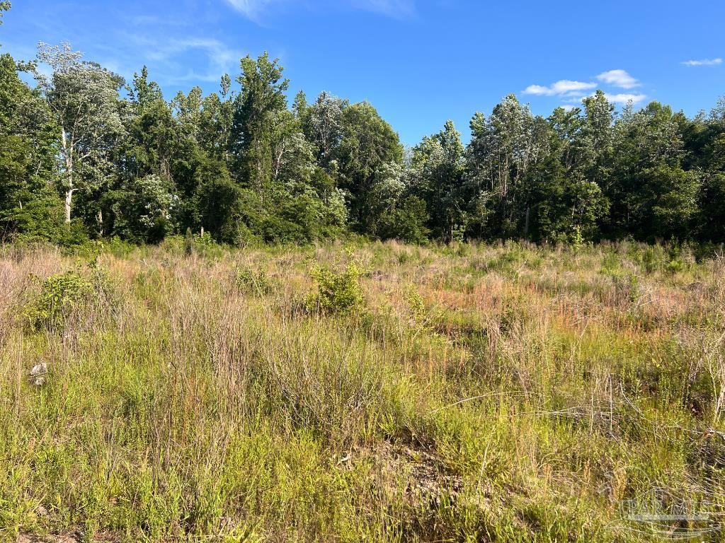 Lot 3-B Cotton Lake Rd