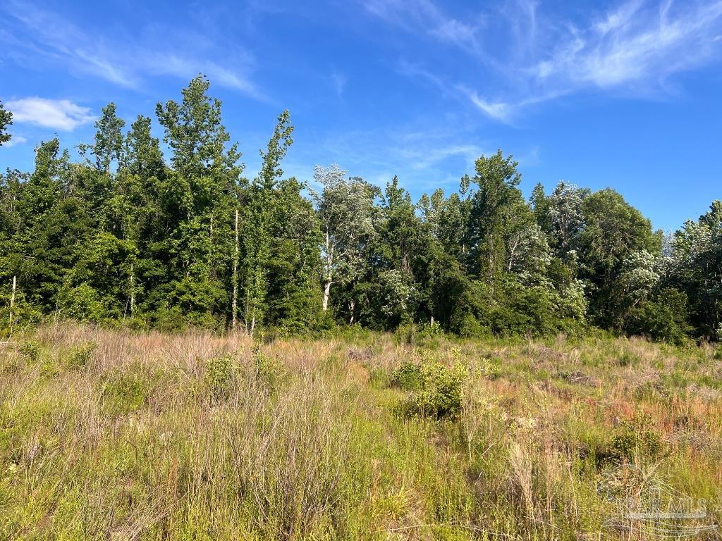 Lot 3-B Cotton Lake Rd