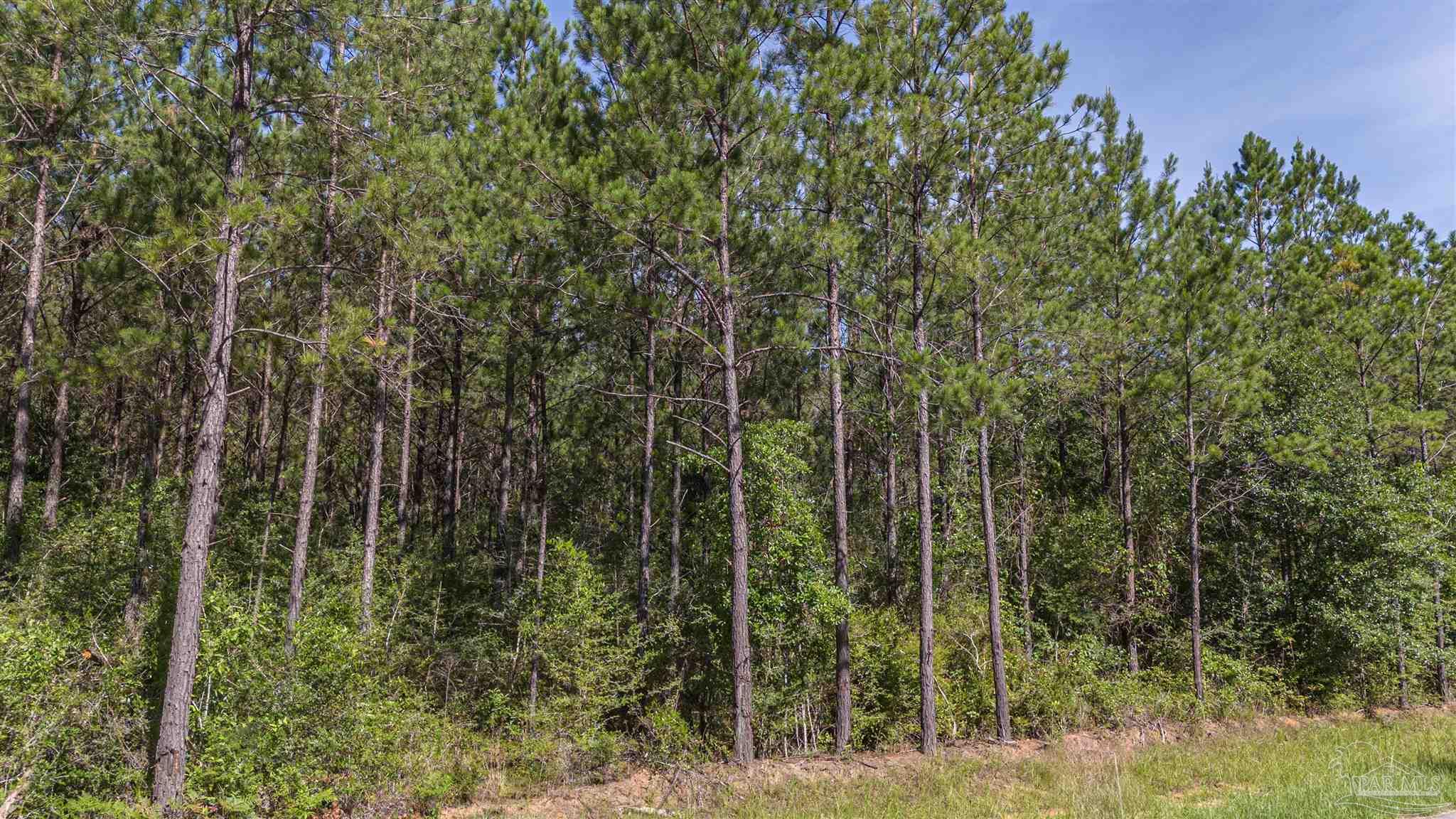 0000 Greyrock Landing Rd