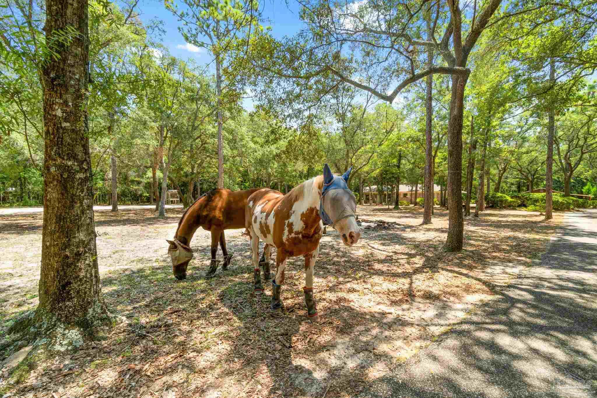 8305 Hickory Hammock Rd