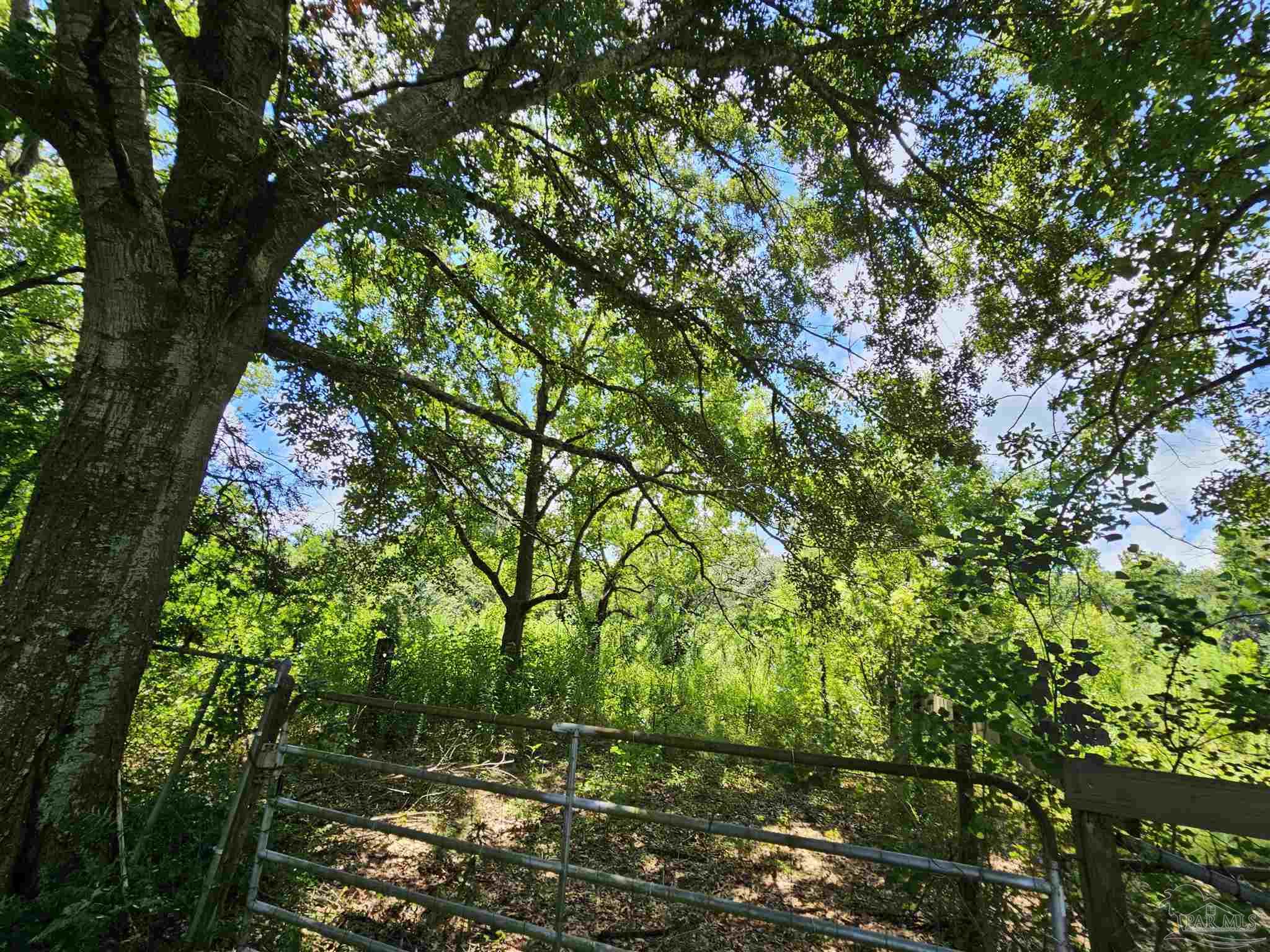 455 W Roberts Rd