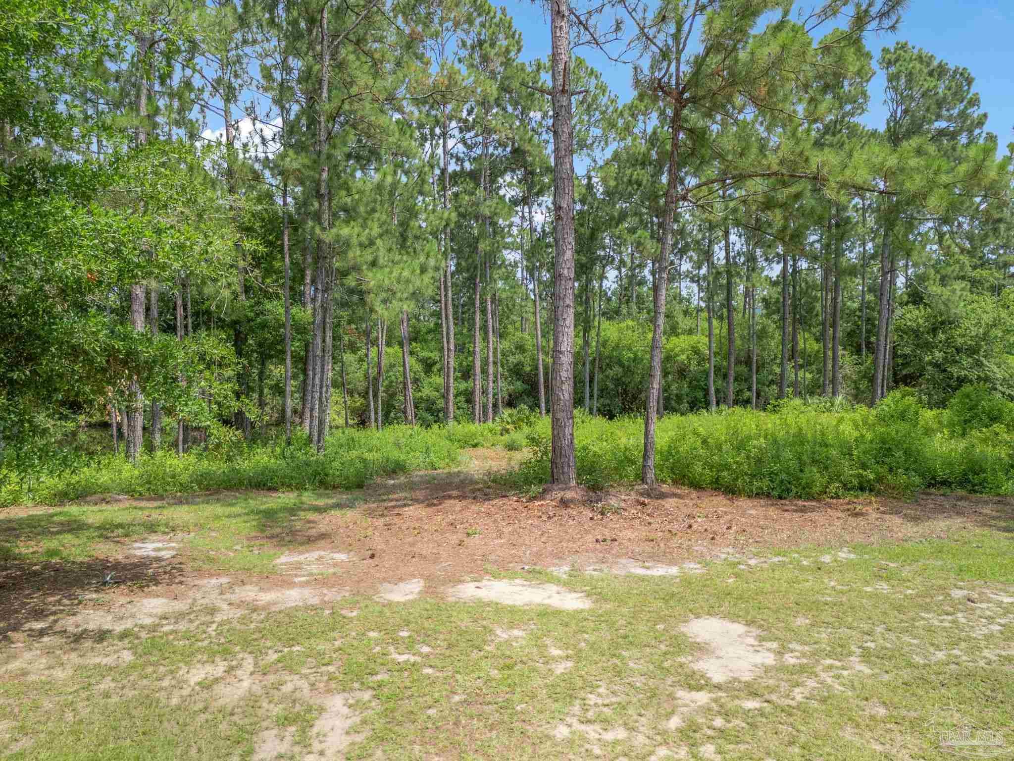 12335 Ailanthus Dr
