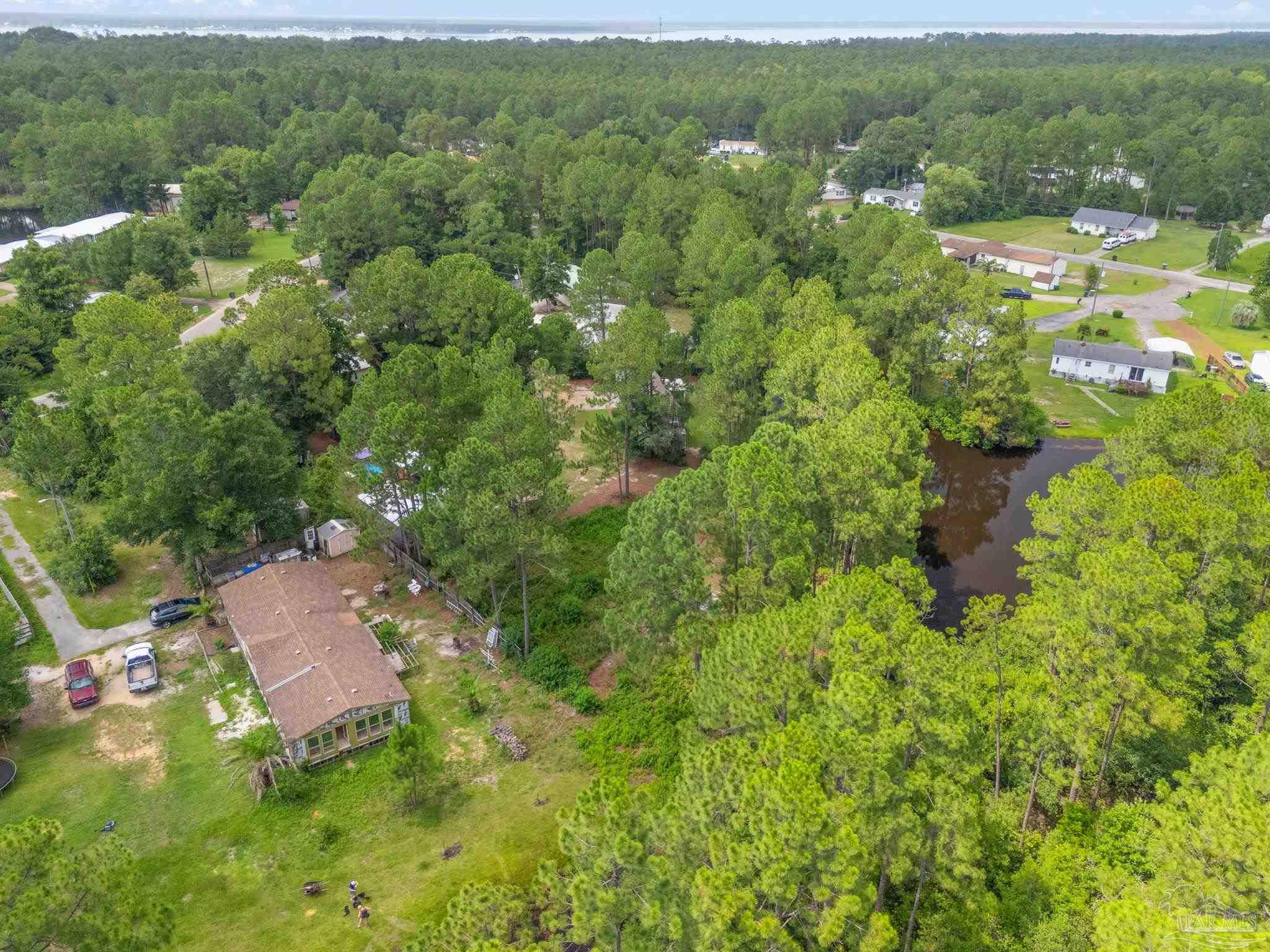12335 Ailanthus Dr