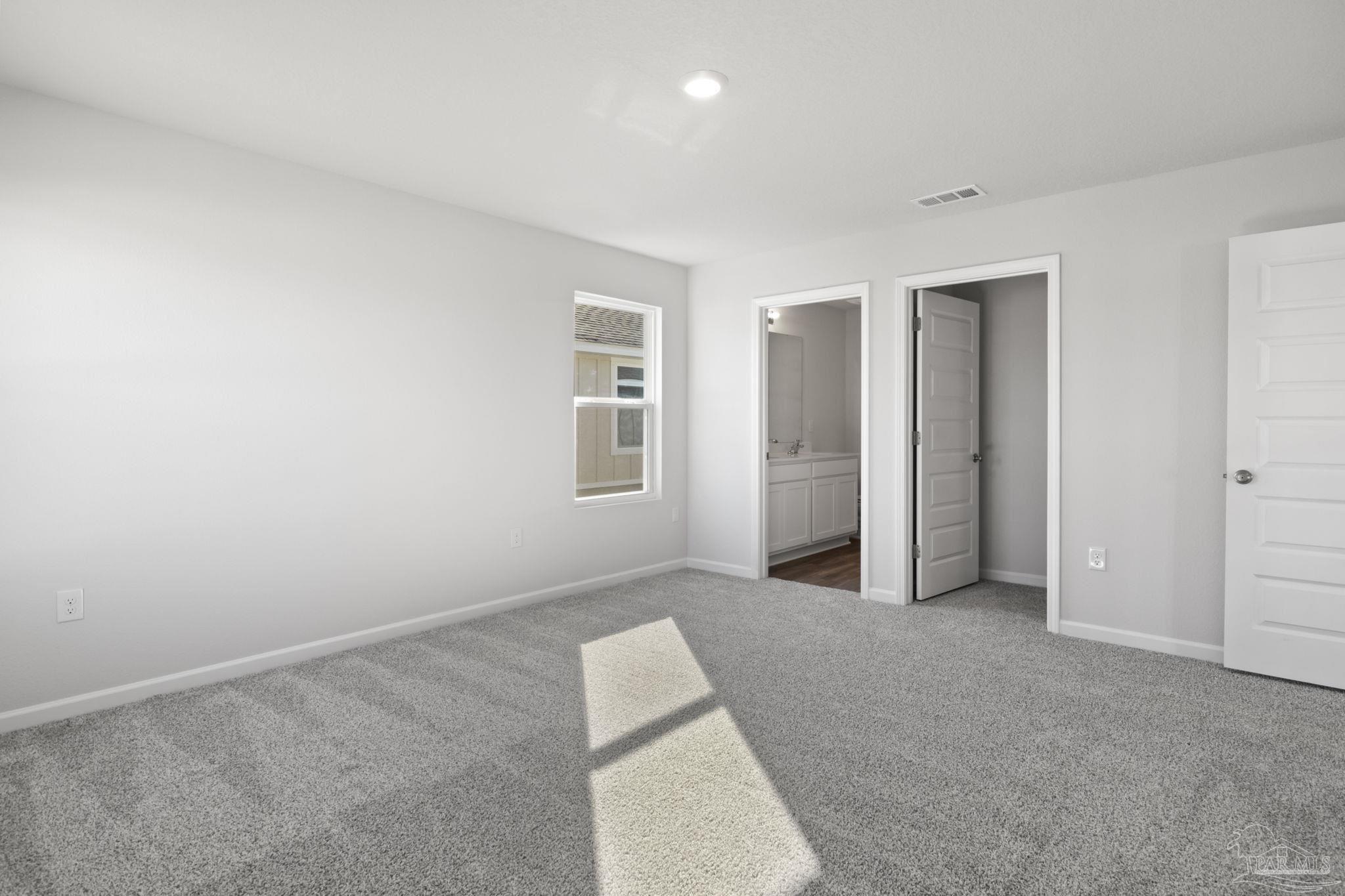2018 Limpkin St