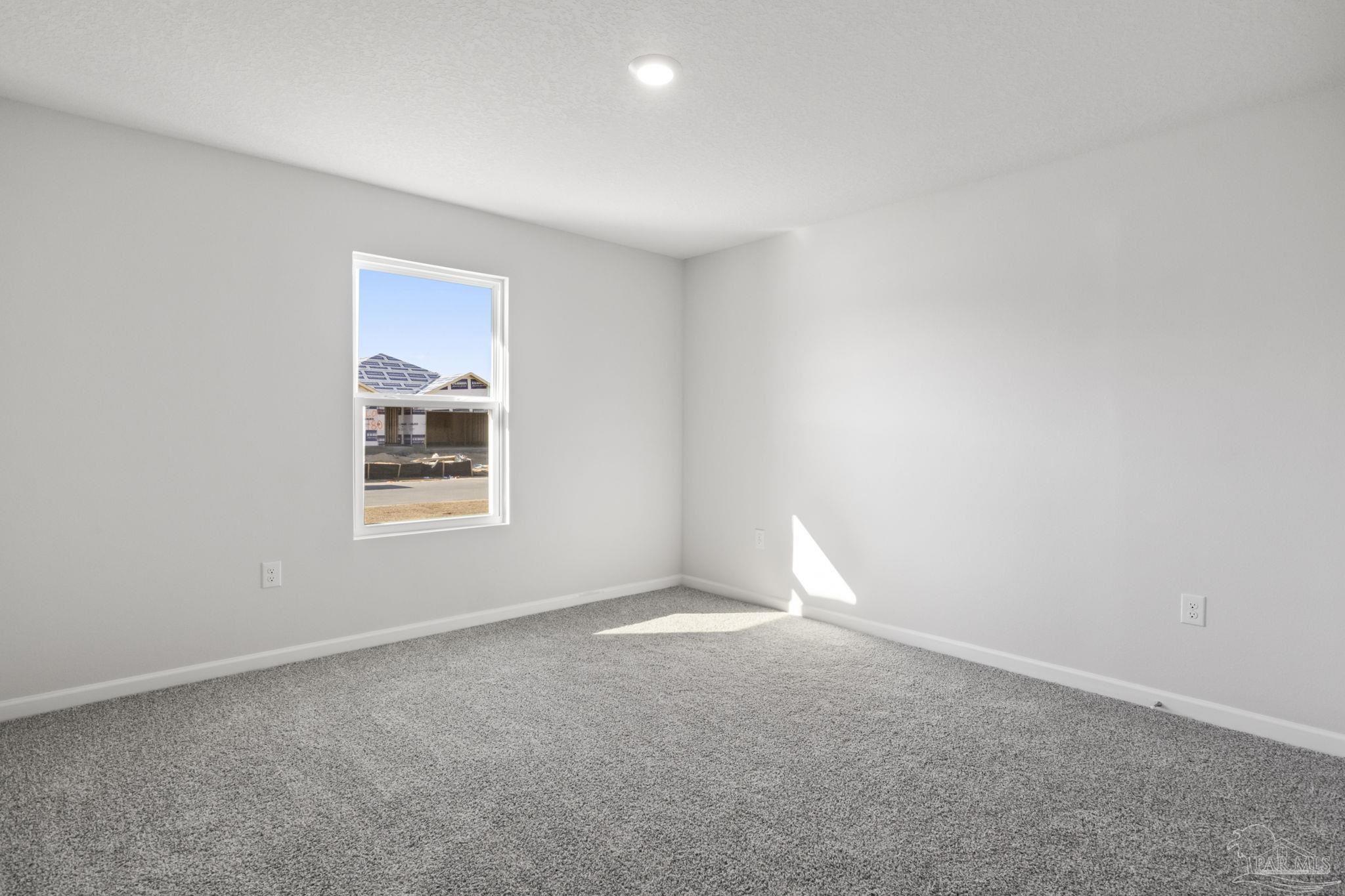 2018 Limpkin St